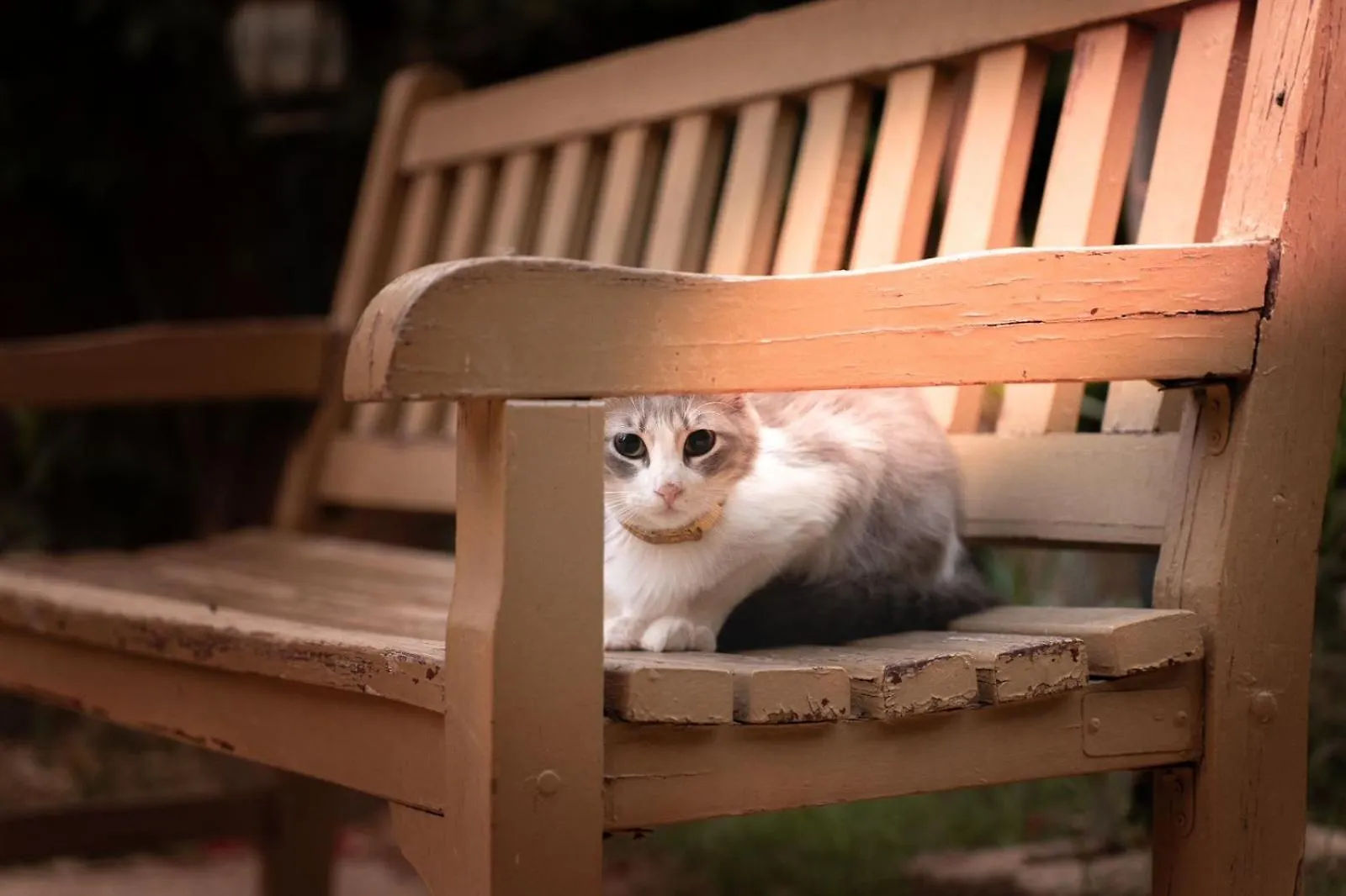 Cozy Rez De Jardin Villa Marakeş